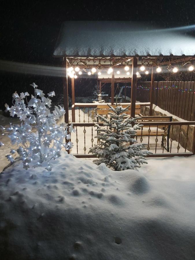 Konstantine'S Chalet Bakuriani Eksteriør billede