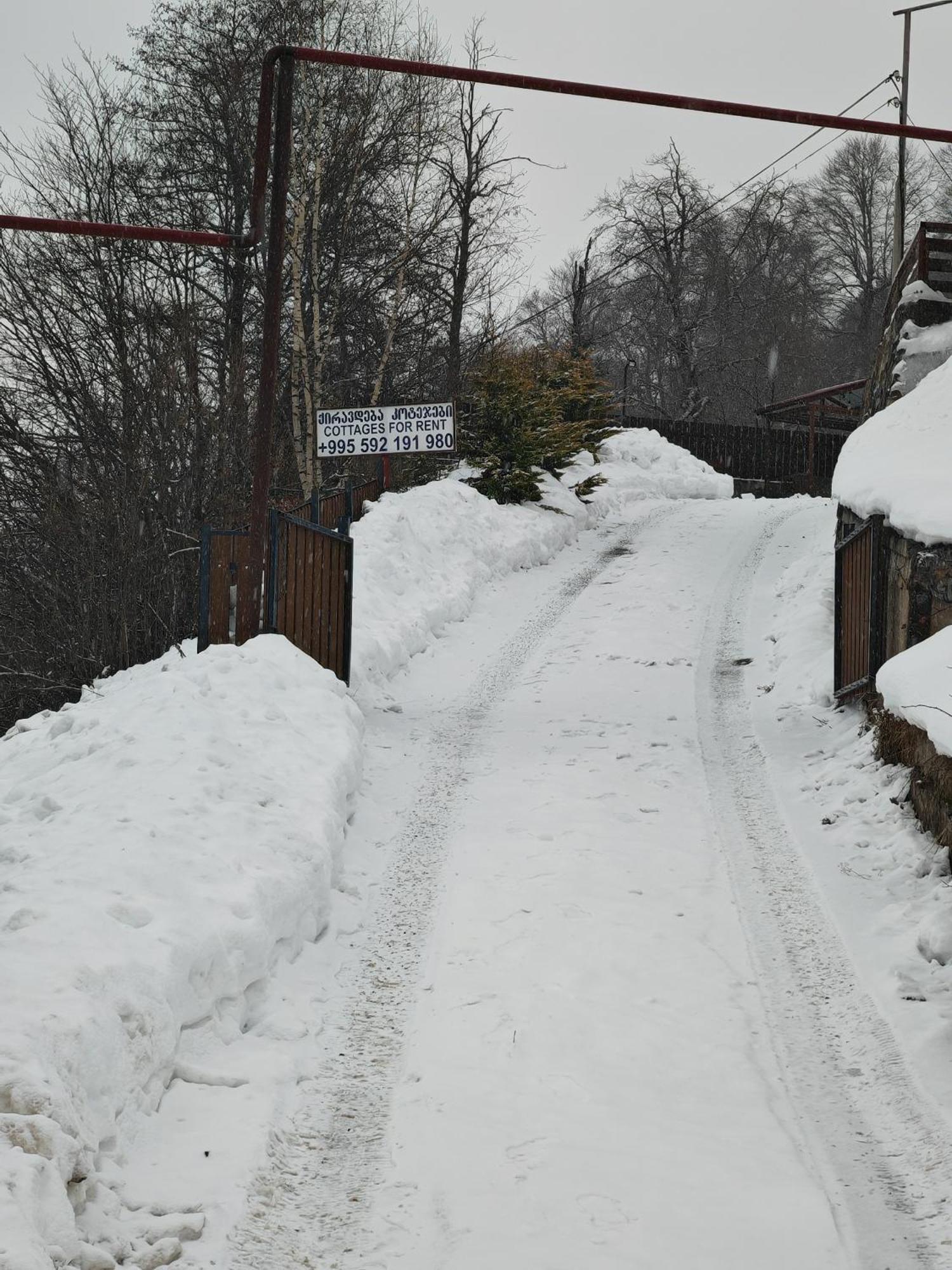 Konstantine'S Chalet Bakuriani Eksteriør billede