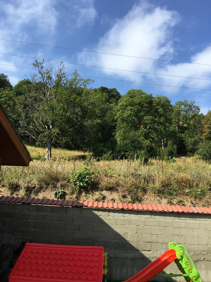 Konstantine'S Chalet Bakuriani Eksteriør billede